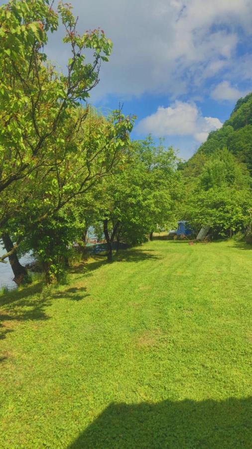 Dedin Raj Villa Golubac Eksteriør billede